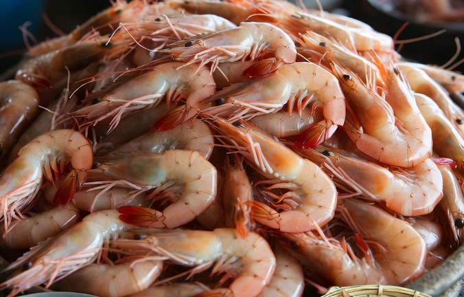 Vannamei Shrimp
